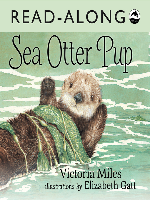 Cover image for Sea Otter Pup
